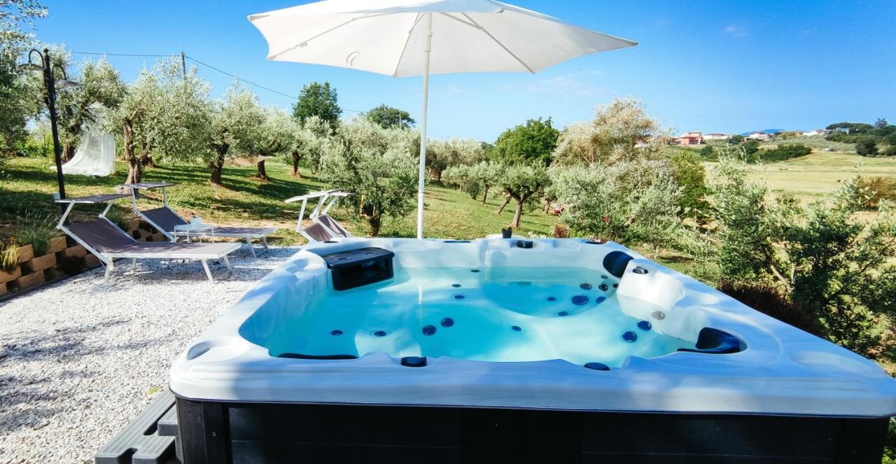 The Olive Grove In Tuscany Toiano Eksteriør billede
